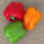 PEPPER Californian Wonder