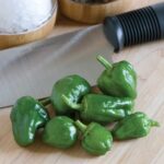 PEPPER Padron