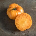 TOMATO Yellow Brandywine